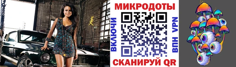 Галлюциногенные грибы Psilocybe  цена   Алапаевск 